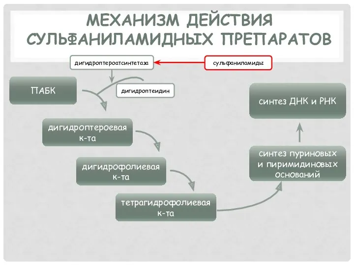 МЕХАНИЗМ ДЕЙСТВИЯ СУЛЬФАНИЛАМИДНЫХ ПРЕПАРАТОВ ПАБК дигидроптероевая к-та дигидрофолиевая к-та тетрагидрофолиевая