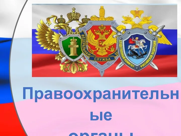 Правоохранительные органы