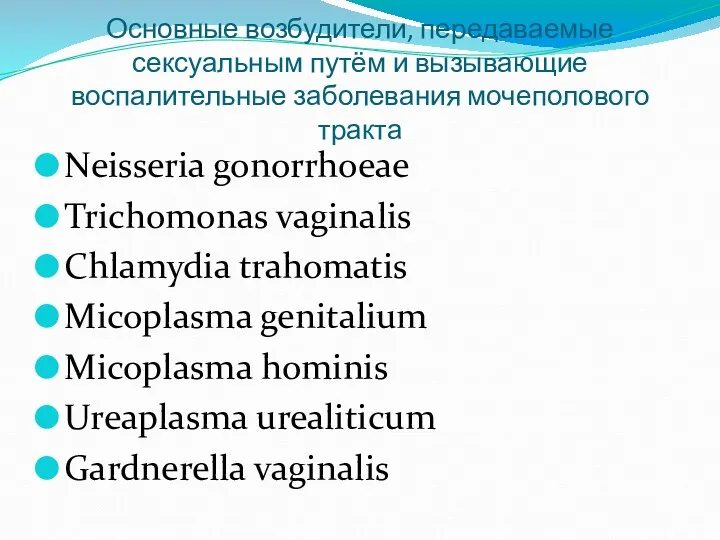 Основные возбудители, передаваемые сексуальным путём и вызывающие воспалительные заболевания мочеполового тракта Neisseria gonorrhoeae