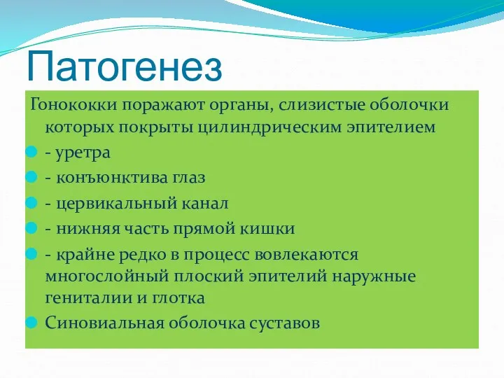 Патогенез Гонококки поражают органы, слизистые оболочки которых покрыты цилиндрическим эпителием - уретра -