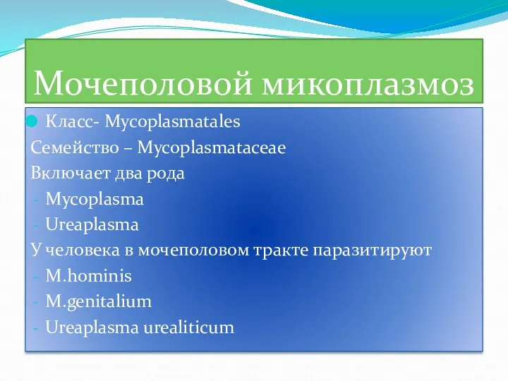 Мочеполовой микоплазмоз Класс- Mycoplasmatales Семейство – Mycoplasmataceae Включает два рода Mycoplasma Ureaplasma У