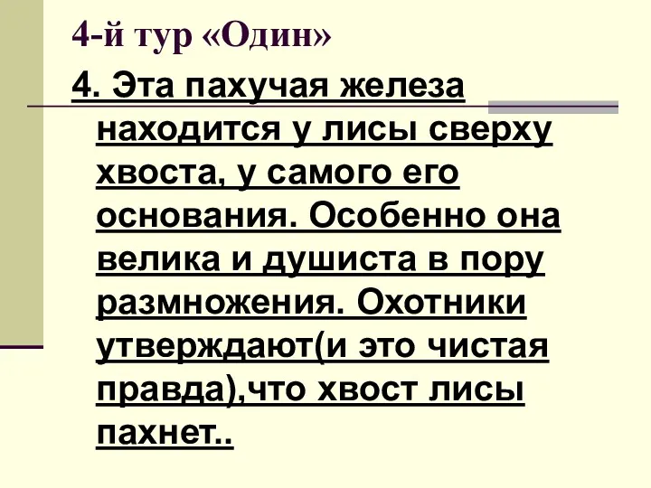 4-й тур «Один» 4. Эта пахучая железа находится у лисы