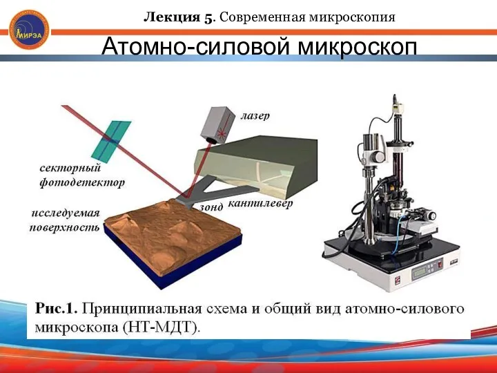 Атомно-силовой микроскоп