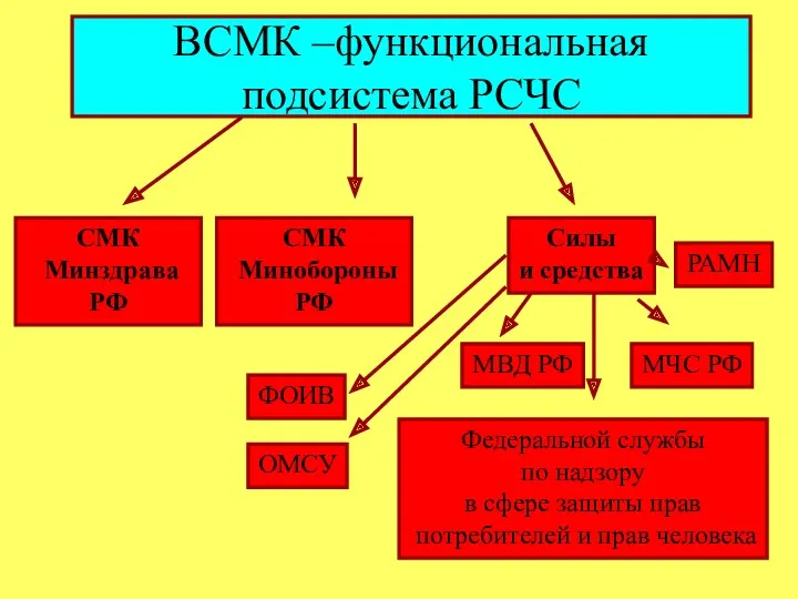 ВСМК –функциональная подсистема РСЧС СМК Минздрава РФ СМК Минобороны РФ
