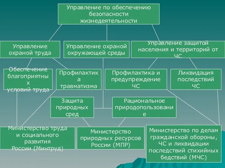 Управление по обеспечению безопасности жизнедеятельности Управление охраной труда Управление охраной