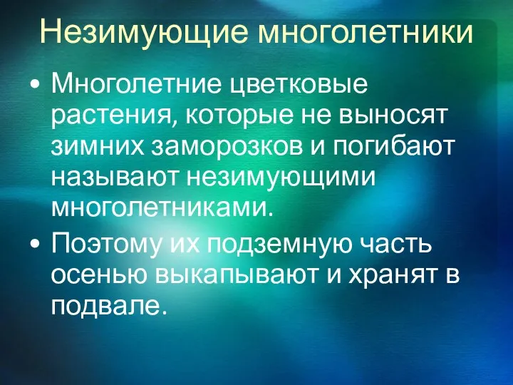 Незимующие многолетники Многолетние цветковые растения, которые не выносят зимних заморозков