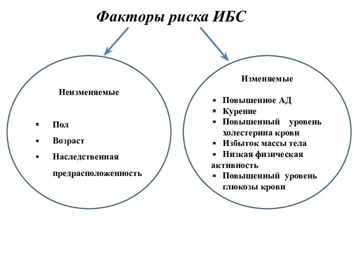 Факторы риска ИБС Неизменяемые Пол Возраст Наследственная предрасположенность Изменяемые Повышенное