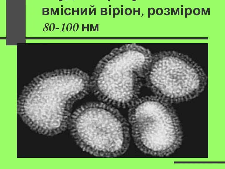 Збудник грипу – РНК-вмісний віріон, розміром 80-100 нм