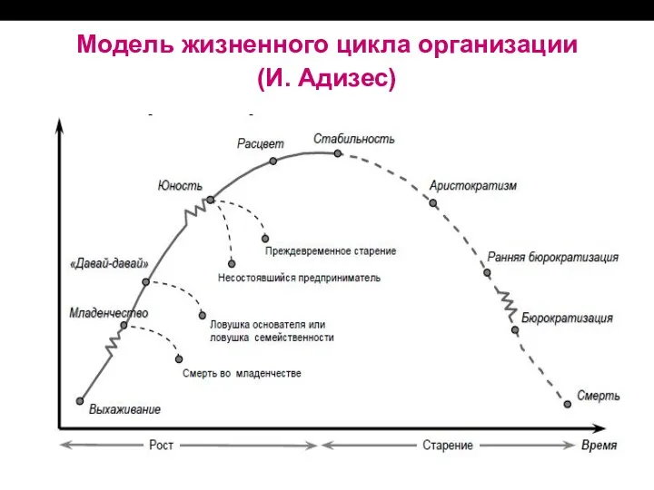 Модель жизненного цикла организации (И. Адизес)