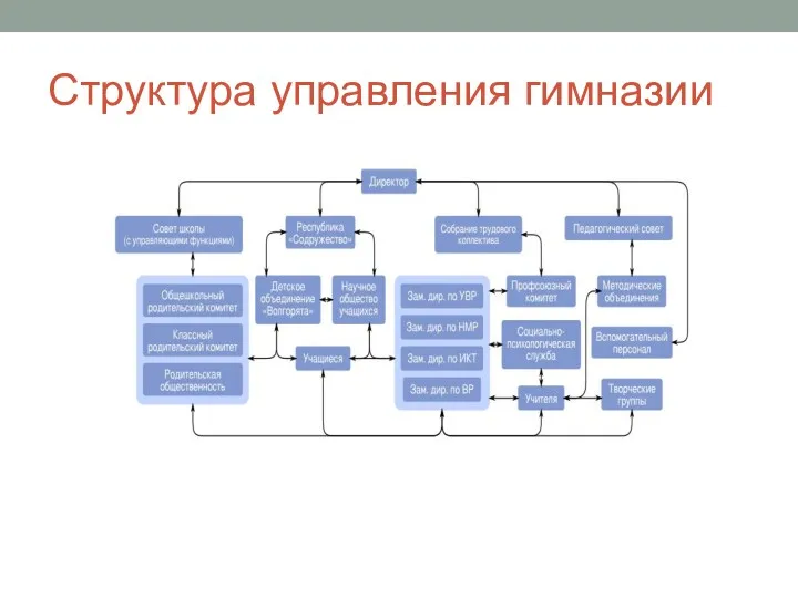 Структура управления гимназии