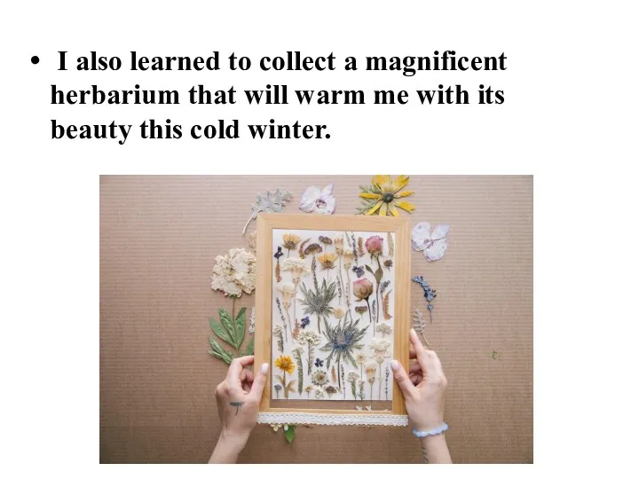 I also learned to collect a magnificent herbarium that will
