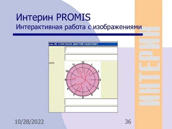 10/28/2022 Интерин PROMIS Интерактивная работа с изображениями Для анимации 1 Для анимации 2