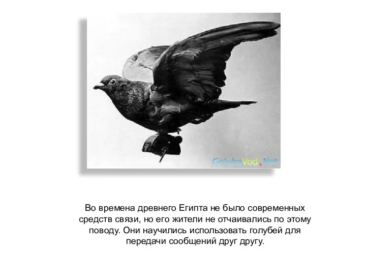 Во времена древнего Египта не было современных средств связи, но