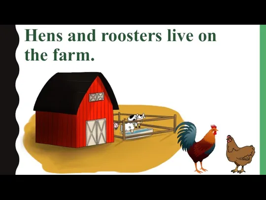 Hens and roosters live on the farm.