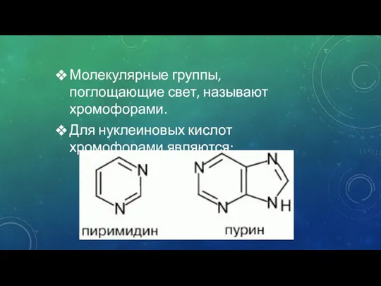 Молекулярные группы, поглощающие свет, называют хромофорами. Для нуклеиновых кислот хромофорами являются: