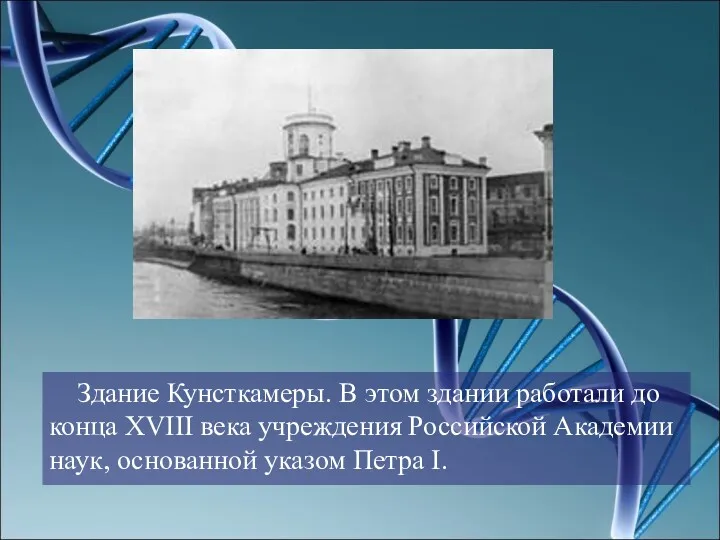 Здание Кунсткамеры. В этом здании работали до конца XVIII века