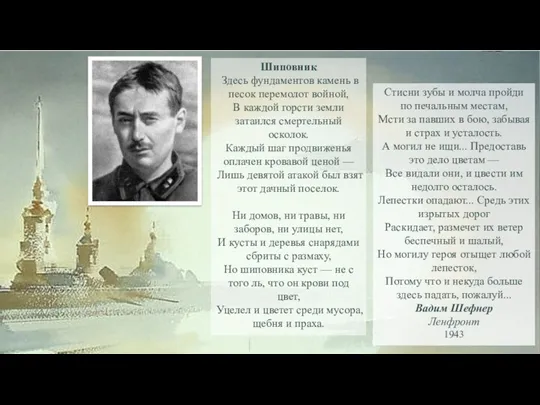 Шиповник Здесь фундаментов камень в песок перемолот войной, В каждой