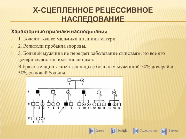 Х-СЦЕПЛЕННОЕ РЕЦЕССИВНОЕ НАСЛЕДОВАНИЕ Характерные признаки наследования 1. Болеют только мальчики