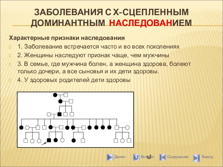 ЗАБОЛЕВАНИЯ С Х-СЦЕПЛЕННЫМ ДОМИНАНТНЫМ НАСЛЕДОВАНИЕМ Характерные признаки наследования 1. Заболевание