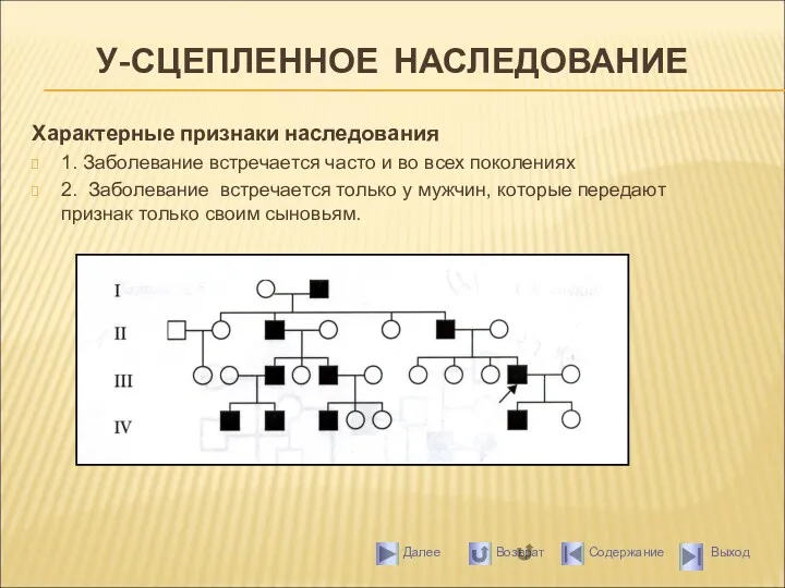 У-СЦЕПЛЕННОЕ НАСЛЕДОВАНИЕ Характерные признаки наследования 1. Заболевание встречается часто и