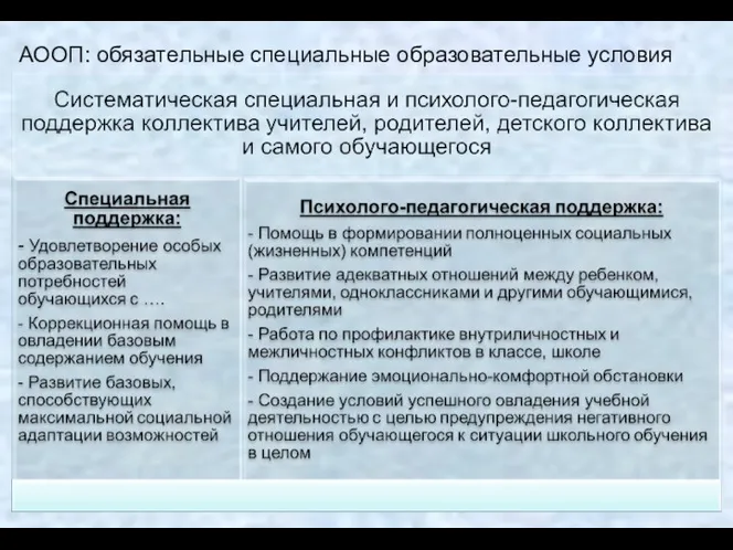 АООП: обязательные специальные образовательные условия