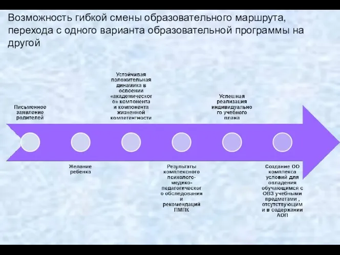 Возможность гибкой смены образовательного маршрута, перехода с одного варианта образовательной программы на другой