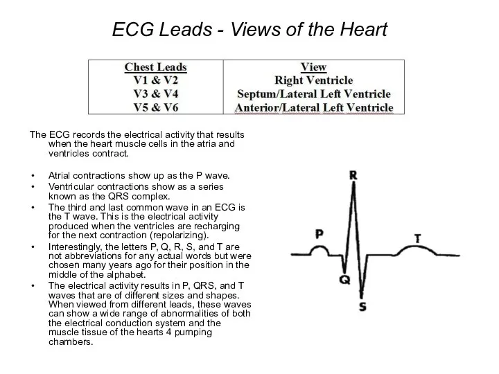 ECG Leads - Views of the Heart The ECG records the electrical activity