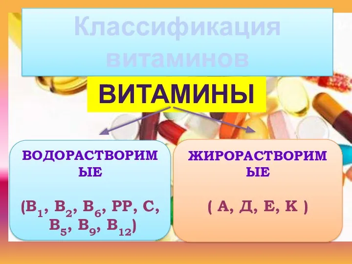 Классификация витаминов ВИТАМИНЫ ВОДОРАСТВОРИМЫЕ (В1, В2, В6, РР, С, В5,