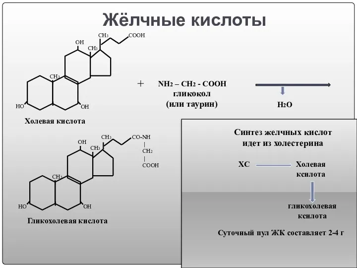 Жёлчные кислоты ОН НО ОН СН3 СН3 СН3 СООН Холевая