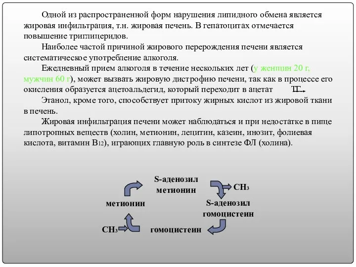 Одной из распространенной форм нарушения липидного обмена является жировая инфильтрация,