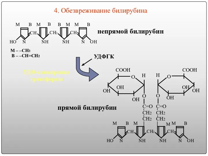 СН СН2 СН ОН НО NН NН N N M – –CH3 B