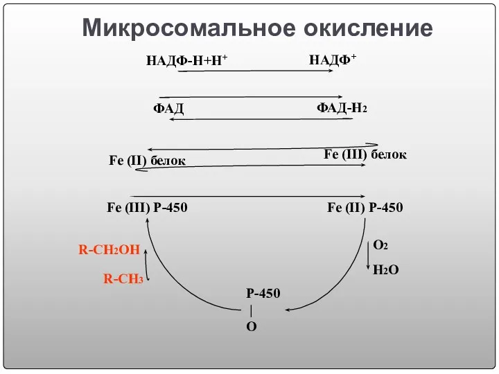 Микросомальное окисление НАДФ-Н+Н+ НАДФ+ ФАД ФАД-Н2 Fe (II) белок Fe (III) белок Fe