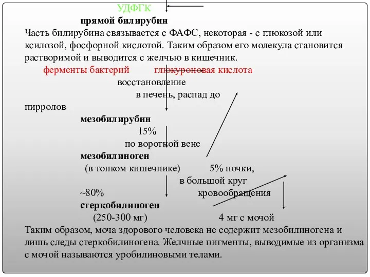 УДФГК прямой билирубин Часть билирубина связывается с ФАФС, некоторая -