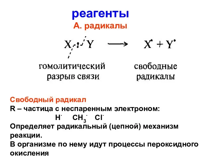 реагенты А. радикалы Свободный радикал R – частица с неспаренным