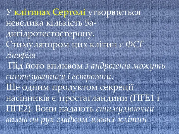 У клітинах Сертолі утворюється невелика кількість 5а-дигідротестостерону. Стимулятором цих клітин