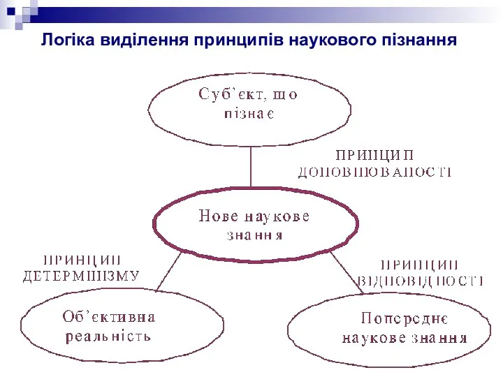 Логіка виділення принципів наукового пізнання