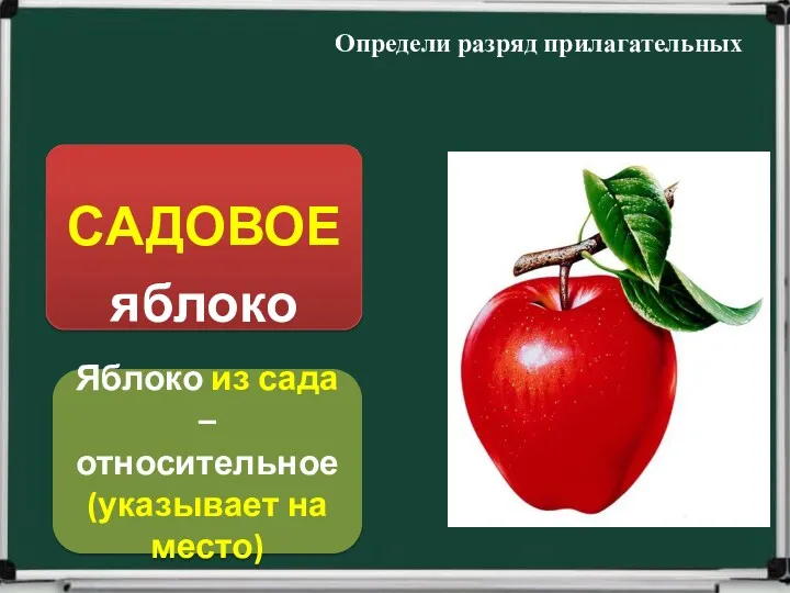 Яблоко из сада – относительное (указывает на место) Определи разряд прилагательных