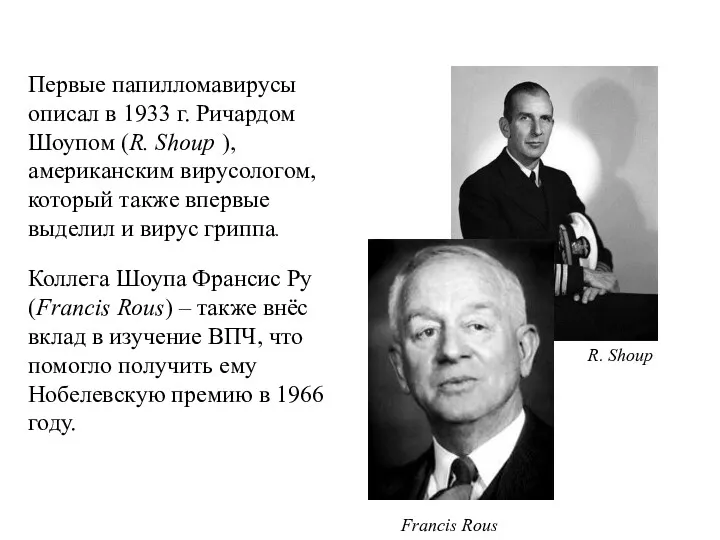 Первые папилломавирусы описал в 1933 г. Ричардом Шоупом (R. Shoup