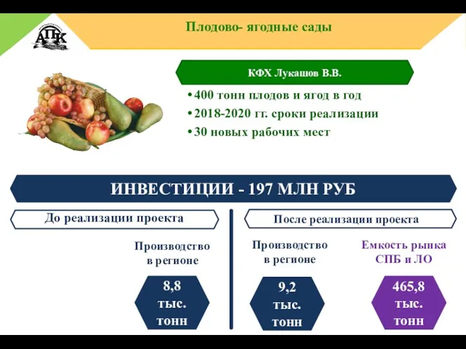 ИНВЕСТИЦИИ - 197 МЛН РУБ Емкость рынка СПБ и ЛО