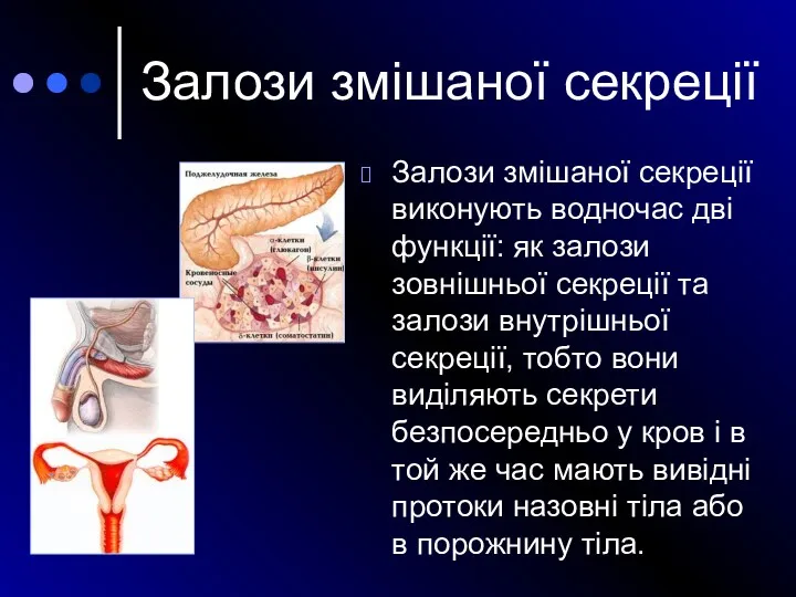 Залози змішаної секреції виконують водночас дві функції: як залози зовнішньої секреції та залози