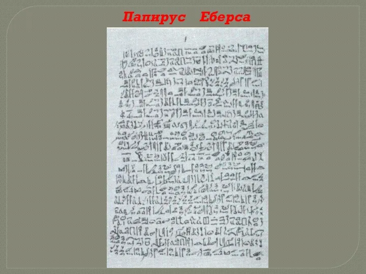 Папирус Еберса