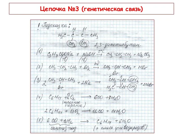 Цепочка №3 (генетическая связь)