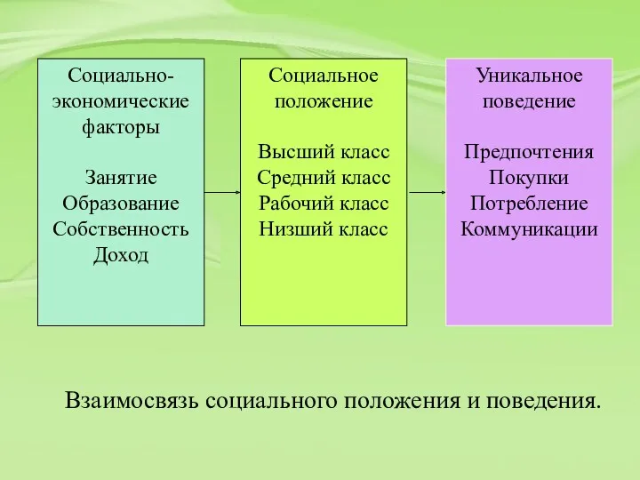 Взаимосвязь социального положения и поведения.