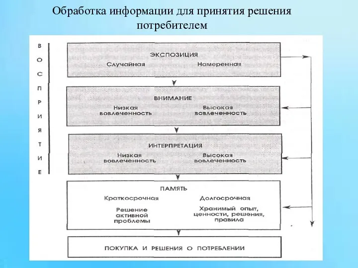 Обработка информации для принятия решения потребителем