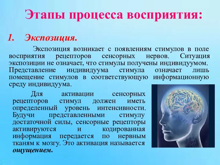 Этапы процесса восприятия: Экспозиция. Для активации сенсорных рецепторов стимул должен