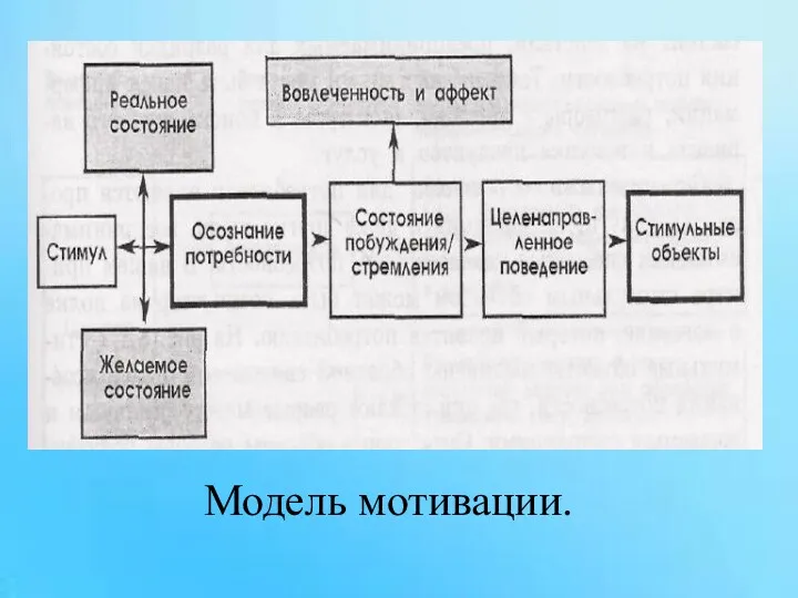 Модель мотивации.