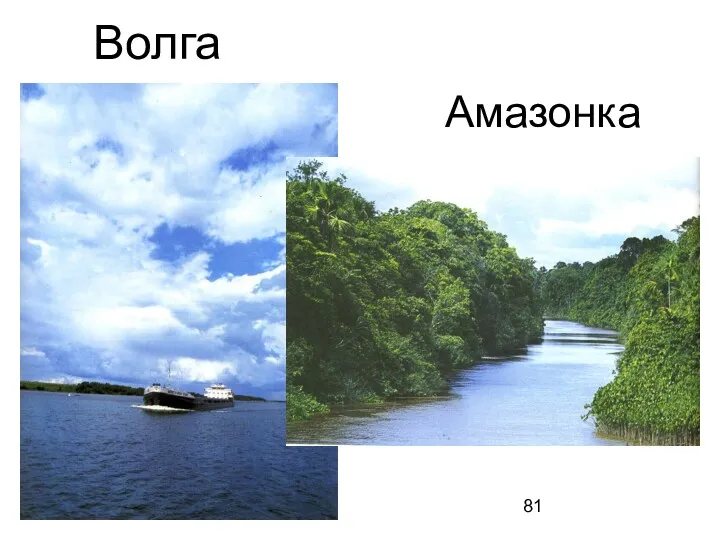 Волга Амазонка