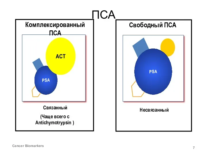 ПСА Cancer Biomarkers