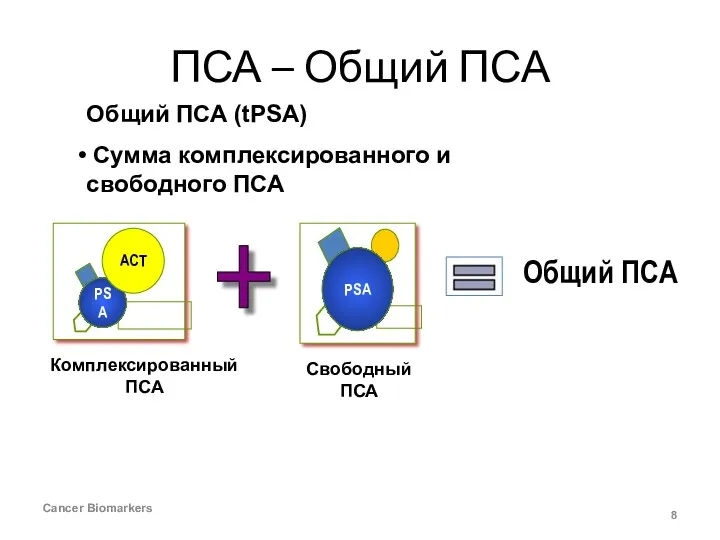 ПСА – Общий ПСА Cancer Biomarkers Комплексированный ПСА Общий ПСА (tPSA) Сумма комплексированного