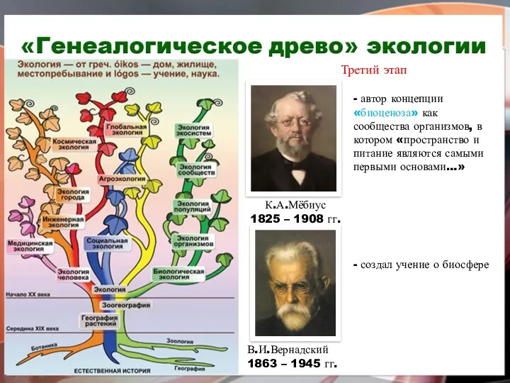 Третий этап К.А.Мёбиус 1825 – 1908 гг. - автор концепции «биоценоза» как сообщества